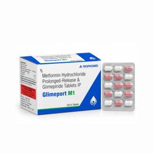 Gilmeport M1