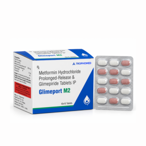 Gilmeport M2